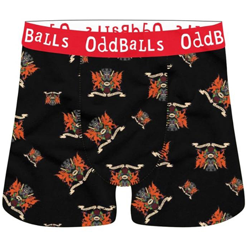 Llandybie RFC Boxers