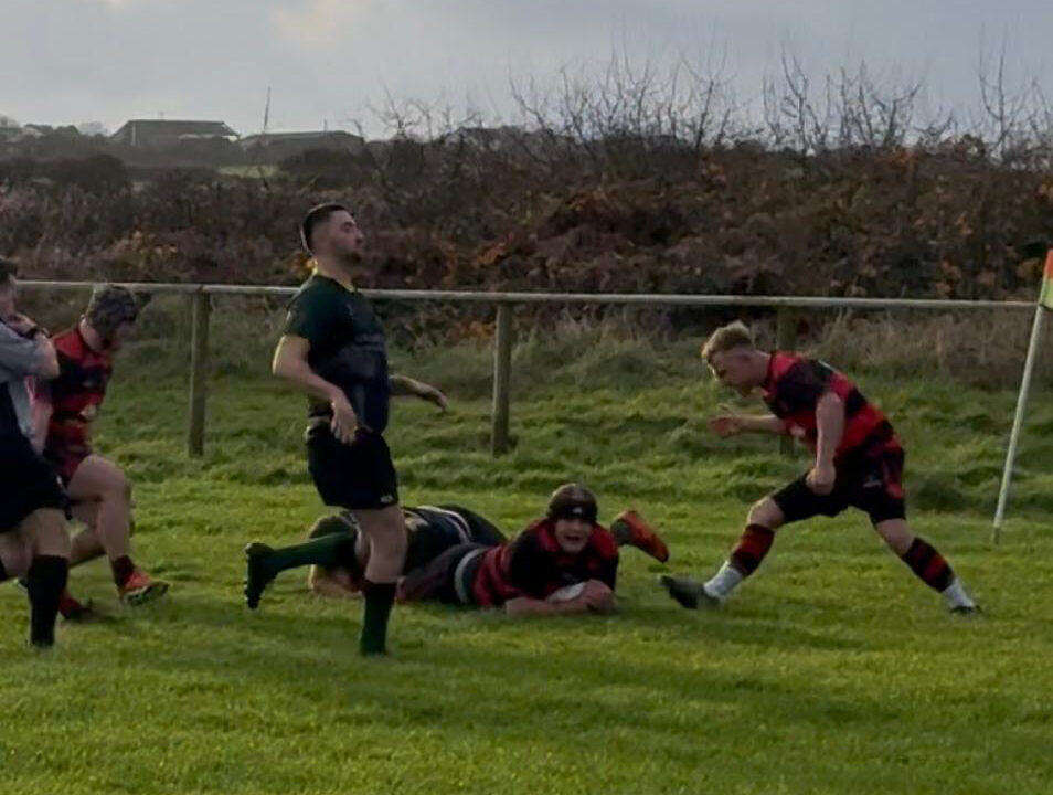 FallBay Away
